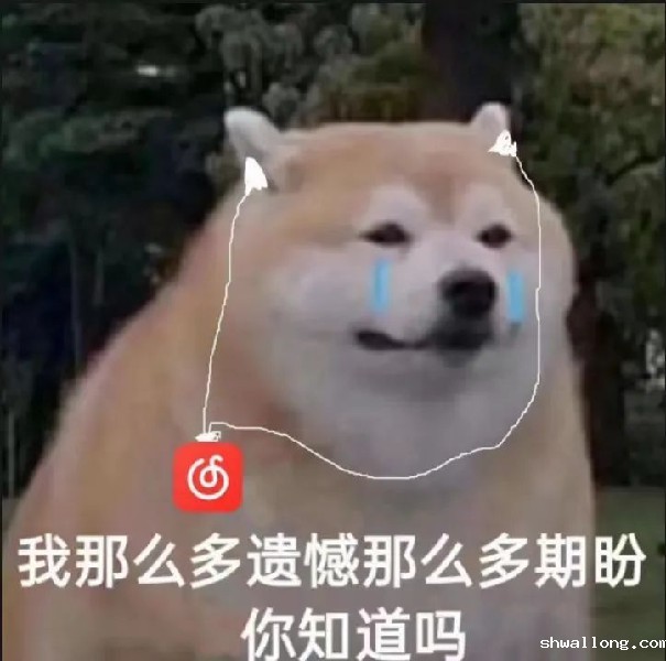 96b7a67d4f2369c84eb78c60618c585.jpg